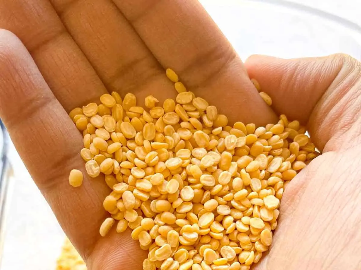 Green Gram (Moong dal)